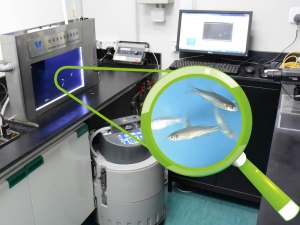 A patent has been registered for the Zebrafish Water Quality Monitoring System developed by the WSD.