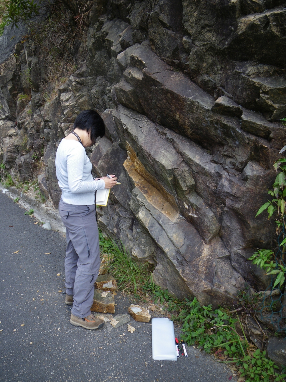 During a field trip, colleagues of Hong Kong Geological Survey study and describe the rock types and their properties, carry out on-site geological and structural measurements, and record field observations in details. If necessary, they collect some rock samples for further laboratory testing and analysis.