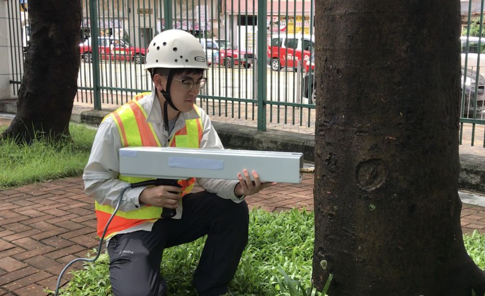 A tree inspection personnel is examining the internal structural condition of a tree with a resistograph.