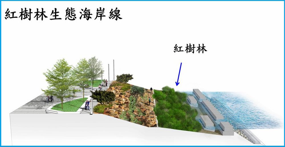 The Tung Chung East extension is the Government’s first public works project adopting eco-shorelines, with an objective to enhance seabed biodiversity by providing a suitable habitat for marine species through mimicking the physical conditions of natural inter-tidal zones as far as practicable. Pictured is an artist’s impression of the mangrove eco-shoreline.