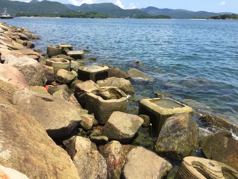 Pictured is the trial site near the Sai Kung Sewage Treatment Works, where researchers have placed ecological armouring units and tidal pools to evaluate their respective effectiveness in promoting marine ecology and biodiversity.