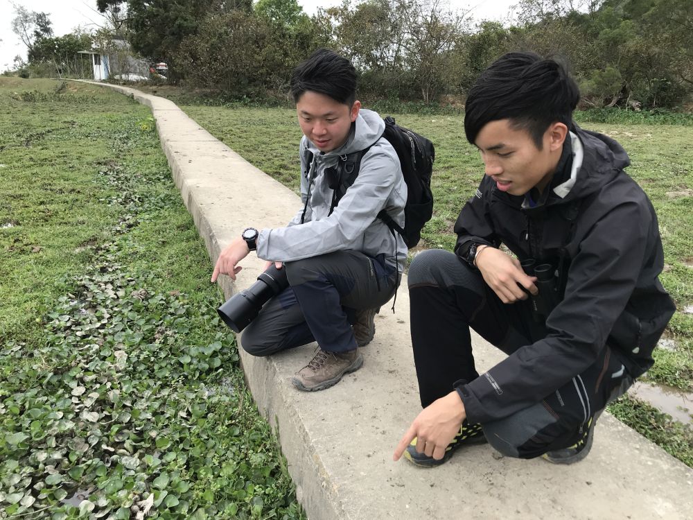 The ecology consultant, Philip (right), and Conservation Officer of the SLO, Mr Stephen CHOW (left) are studying various kinds of plants on the wetland.