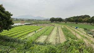 「農業區」會讓農民以生態友善的模式耕作。