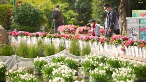 The DEVB has produced videos showcasing Hong Kong's beautiful landscape, so that participants from all over the world can appreciate Hong Kong's landscape planning and park landscape, as well as the efforts of landscape architects and park managers in urban forestry.