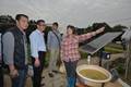A farmer explains to Mr Chan (second left) a solar powered device.