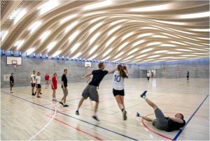 The underground Gammel Hellerup High School Sports Hall in Copenhagen, Denmark (image source: BIG-Bjarke Ingels Group).