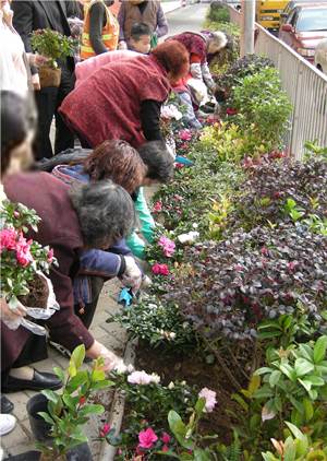 A community planting activity.