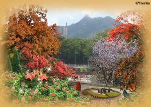 The greening theme for Tuen Mun is “Ruby Flowers, Emerald Mountain”.