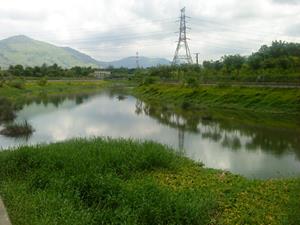 Shallow ponds in the Yuen Long By-pass Floodway.