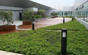 Roof greening helps improve the environment of buildings.