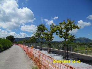 The cycle track under construction in Long Valley