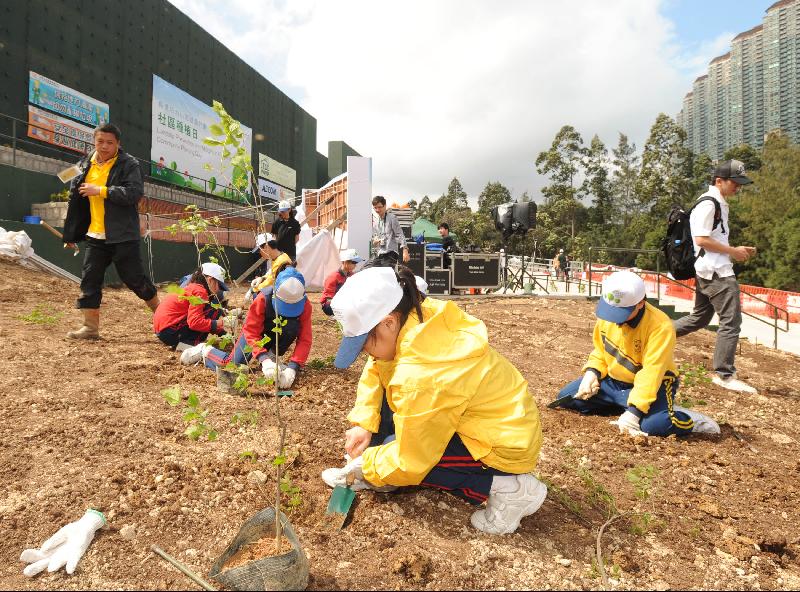 五十多名學生在今日（三月三日）舉行的長遠防治山泥傾瀉計劃社區種植日種植樹苗。