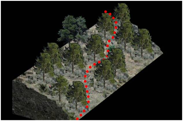 新建越野單車徑將因應地形設計走線，盡量減少砍伐樹木