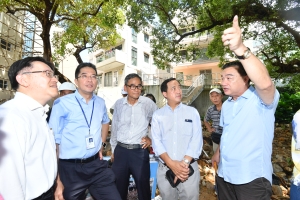 Attention will be paid to whether tree structures have been damaged by flooding so as to avoid causing danger to residents. 