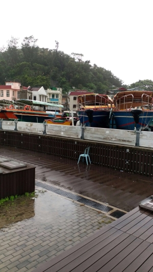 Water levels rise considerably during the typhoon.  The flood barriers shown in the photo have played a role in flood prevention.