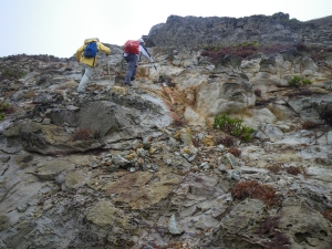 Colleagues of Hong Kong Geological Survey sometimes travel up and down hills to conduct geological survey in remote areas of Hong Kong.