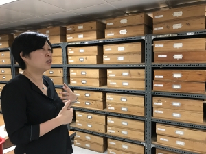 One of the main work of the Hong Kong Geological Survey, under the Civil Engineering and Development Department, is to collect and store rock specimens from different areas of Hong Kong.