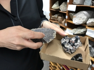 About 140 million years ago, volcanic activities occurred throughout Hong Kong, so Hong Kong comprises 75 percent of volcanic rocks and granitic rocks. The rock on the left side of the photo is a granite specimen in Hong Kong and the one on the right is a volcanic rock of young age collected abroad.