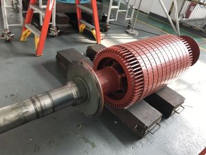 The work of the WSD’s Mechanical and Electrical Workshop includes the repair and maintenance of electric pump motors to ensure their normal operation and a stable supply of fresh water to the public.