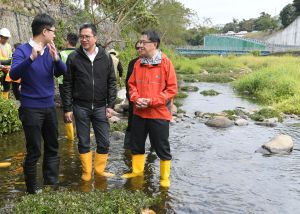 Engineer of the DSD, Mr Marcus CHENG (left) says, the department has appointed an ecological consultant to conduct four years of post-construction ecological monitoring and the results show that the numbers of wildlife species including birds, fish and dragonflies has resumed to pre-construction levels. The Hong Kong Newts are more abundant in the improved channel section.