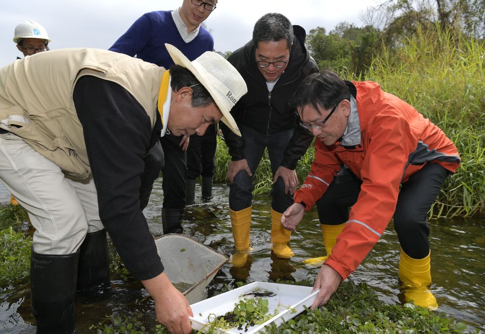 The ecological consultant of the DSD, Dr Mark SHEA (left), introduces the Hong Kong Newt, a Near Threatened species which can be found in Lam Tsuen River, to the SDEV, Mr Michael WONG (second right), and the Director of Drainage Services, Mr Edwin TONG (first right).