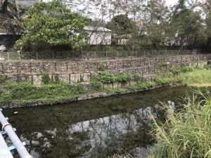Gabion walls are used by the DSD to fortify the river banks instead of concrete. This allows plants to grow between the rocks, creates a natural stream setting.