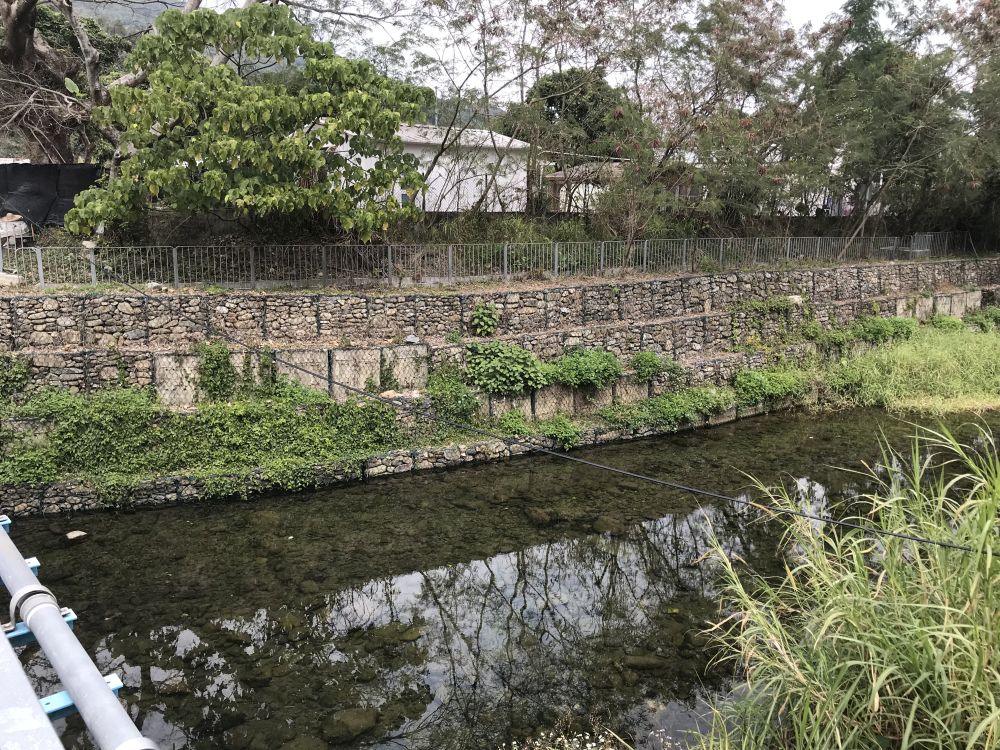 Gabion walls are used by the DSD to fortify the river banks instead of concrete. This allows plants to grow between the rocks, creates a natural stream setting.
