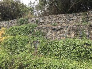 Gabion walls are used by the DSD to fortify the river banks instead of concrete. This allows plants to grow between the rocks, creates a natural stream setting.