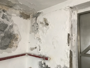 Due to defective water-proofing membranes, water seepage, damp patches and mould growth are found on the internal walls of the rooftop structure at Golden Mansion.  Rectification works are required.