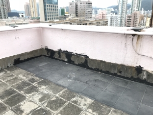 To tackle water seepage, water-proofing membrane was applied on the roof of the building as a temporary measure.
