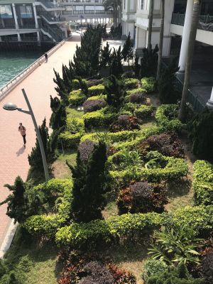 Greening works under the GMPs were first implemented in two busiest districts, Tsim Sha Tsui and Central.  Pictured are the greening works in the Central Pier.
						