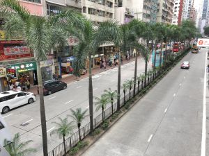 The greening works in urban districts, covering Wan Chai, Mong Kok, Kwun Tong, etc., were completed in mid-2011.  A total of about 25 000 trees and approximately 5 million shrubs have been planted.  Pictured are the greening works on Hennessy Road in Wan Chai.