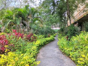 Pictured are the greening works in Tai Yip Lane, Kwun Tong. 