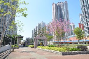 Completed in October 2017, the greening works under the GMPs for Southeast New Territories (NT) and Northwest NT focus on town centres, tourist attractions and major transport routes.  Pictured are the greening works on Tin Wah Road in Tin Shui Wai.
