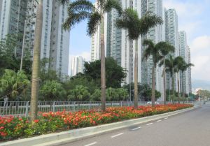 Pictured are the greening works on Siu Lek Yuen Road in Sha Tin.