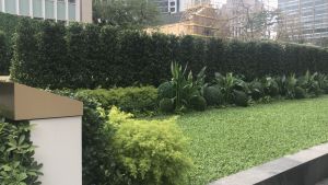 The developer added some greening elements to the hotel, hoping to create an oasis in Central.