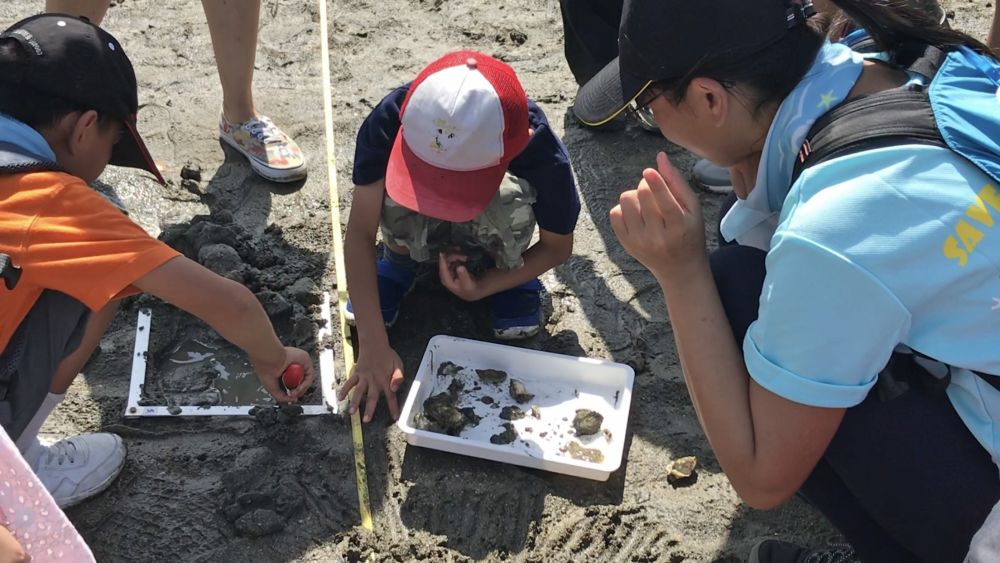 Participants of the guided tour conduct a small scale simulated ecological survey by carefully exploring various species on the sandflats.  After the survey, they place the species back to the original positions.