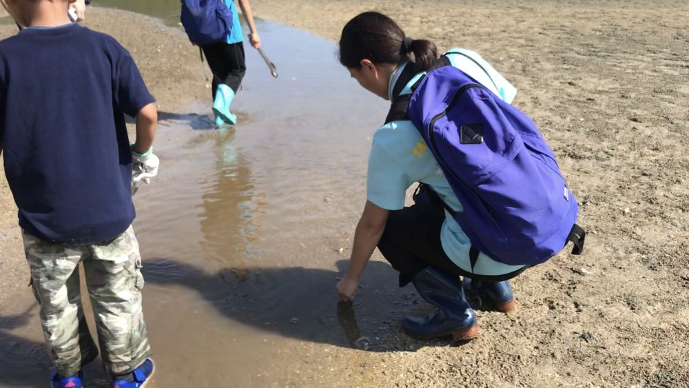 A member of the HKUST teaching staff shows participants a type of Uca borealis and then places it back to the original position. 