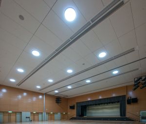 The community hall of the TI Tower utilises a number of environmental features, including the sun pipes (pictured here) to bring daylight into the interior.