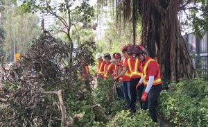 Young and strong volunteers form a “human chain” to remove logs and twigs from the scene after sawing up fallen trees.