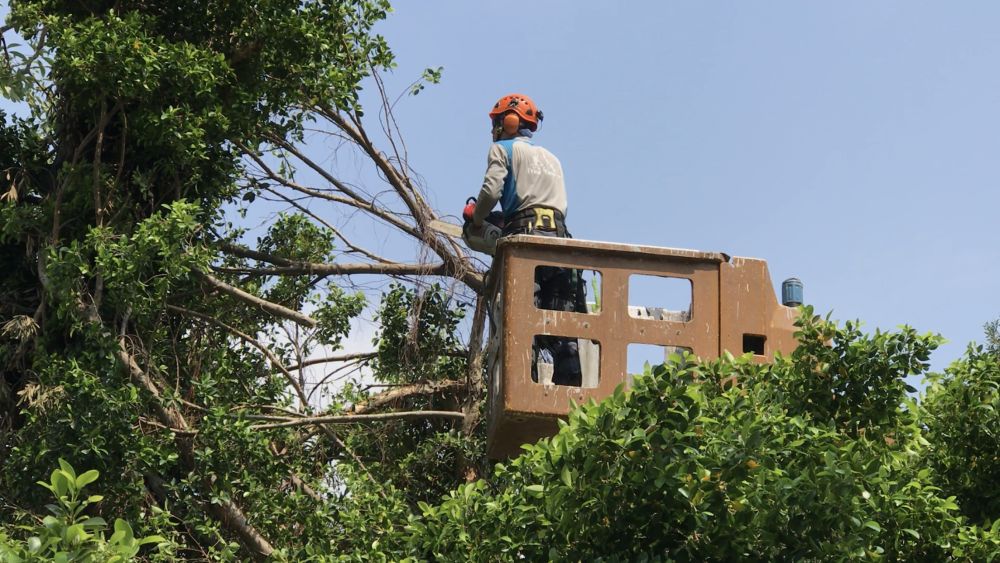 The volunteer team works with a contractor of the Leisure and Cultural Services Department to clear a fallen tree from a pavement along Kennedy Town Praya. Pictured is a staff member of the contractor handling fallen and broken trees at the scene.