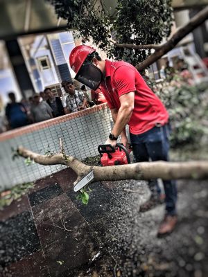 The volunteer team has started to help clean up fallen trees on streets in the urban areas since last Tuesday.  They also went to some remote areas to help remove rubbish.  Pictured is a volunteer handling a broken tree at another site on Hong Kong Island.
