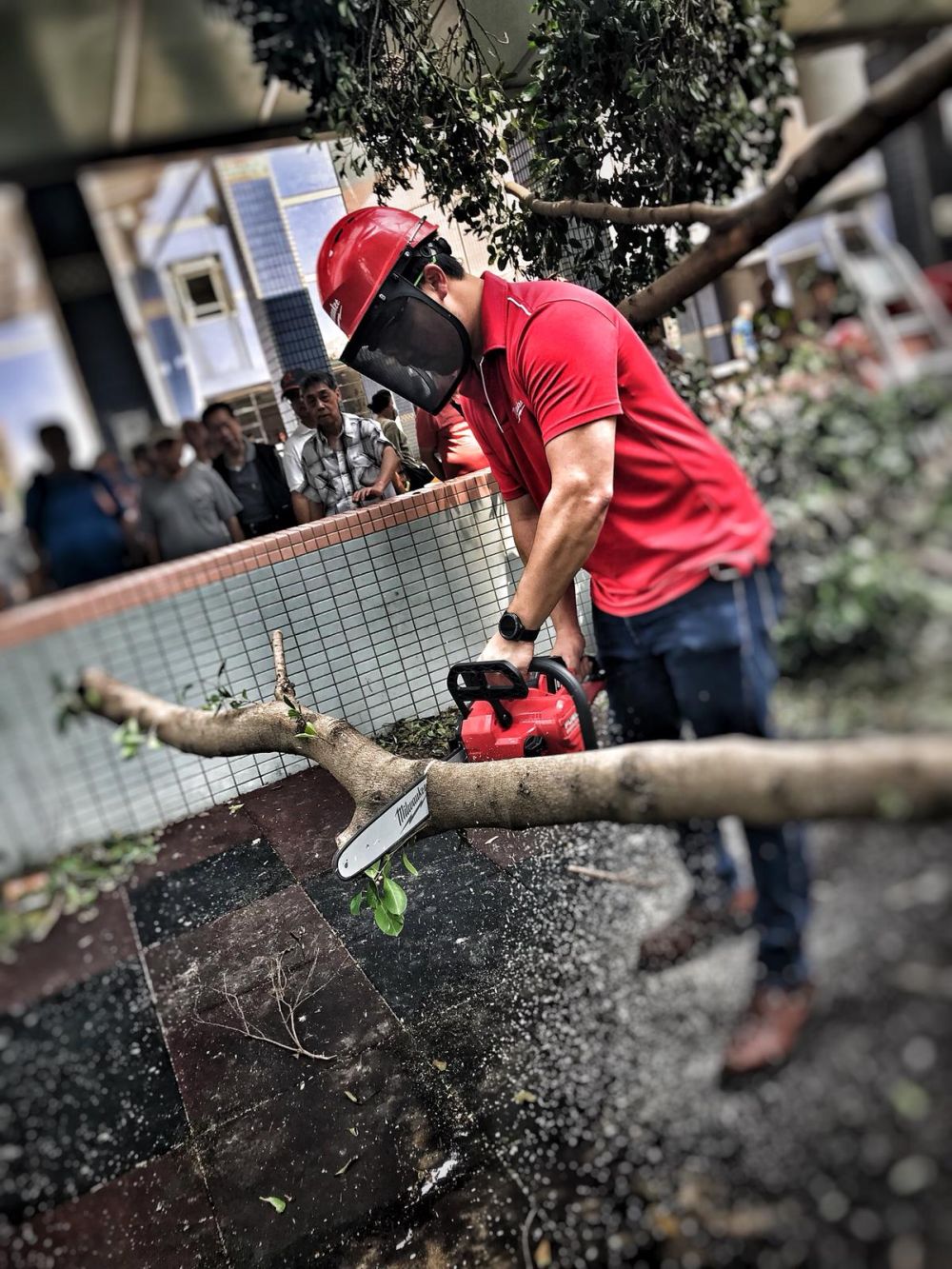 The volunteer team has started to help clean up fallen trees on streets in the urban areas since last Tuesday. They also went to some remote areas to help remove rubbish. Pictured is a volunteer handling a broken tree at another site on Hong Kong Island.
