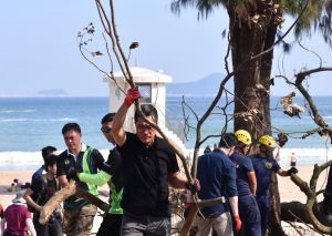 The SDEV, Mr Michael WONG, helps clear the fallen trees at Shek O Beach.