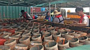 The crew will first place the aerial shells into the mortars at a preset angle, link up the wires for discharge control to the connection unit, and finally connect them all to the central computer.