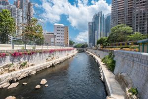 The DSD implemented Kai Tak River Improvement Works in phases starting from 2011 by injecting various greening and ecological elements along the banks of the river, such as growing different types of plants (e.g. Bougainvillea spectabilis), placing imitation rocks in the riverbed to offer a rest place for fishes and birds (e.g. little egret).