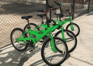 During the pilot project, free rental of bicycles and safety helmets in different sizes are provided for members of the public.