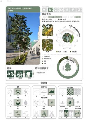 The Guide comprises a set of user-friendly and graphically presented datasheets setting out the basic information for each tree species, including resilience to different types of urban planting environment, distinctive character, species features and colourful photographs.