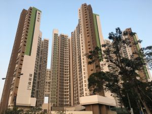 Affected residents may, upon early submission of sufficient information and verification of their eligibility, be duly rehoused in public estates in the North District, such as Po Shek Wu Estate in the picture.