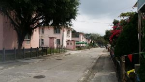 The Government will make proper transitional arrangements for the residents of the residential care homes for the elderly at the Dills Corner Garden.